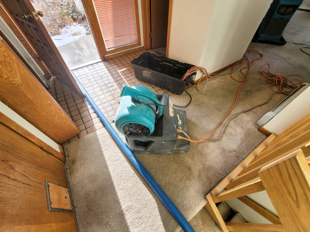 Best Professional water damage repair  in , MO