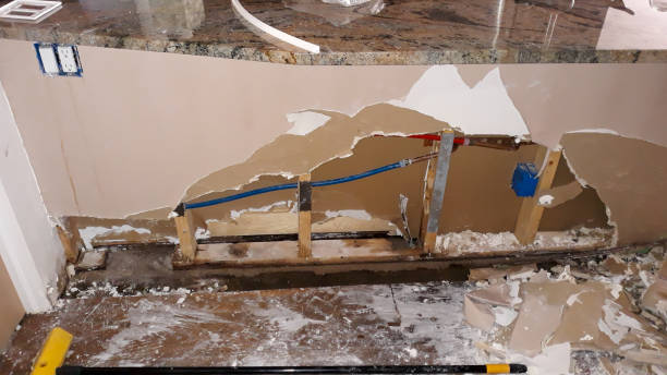 Best Fire Damage Restoration  in , MO