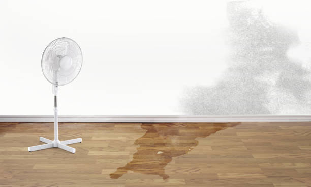 Best Residential water damage restoration  in , MO