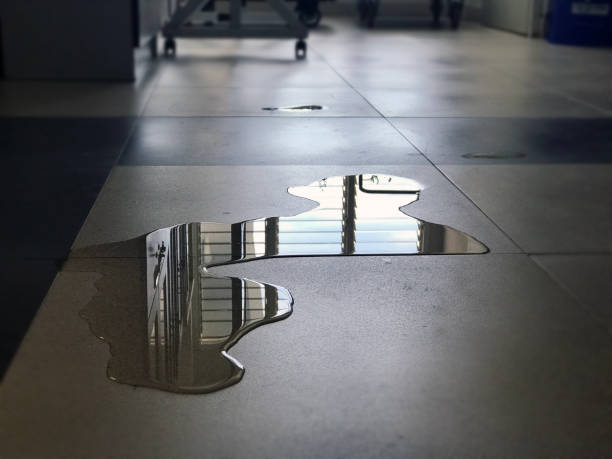 Best Water damage contractors near me  in , MO