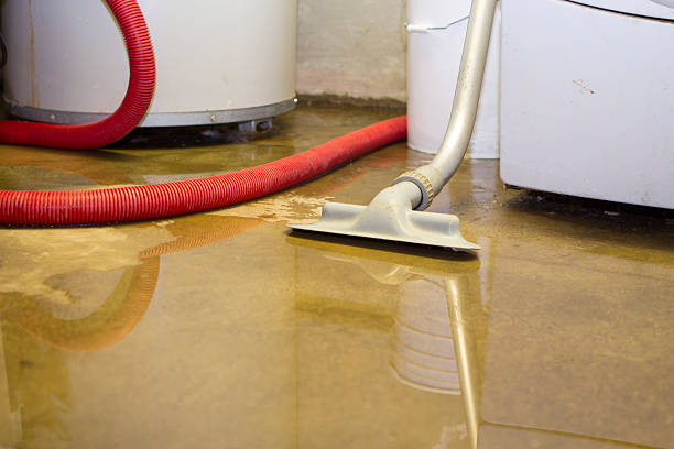 Best 24/7 water damage repair  in , MO