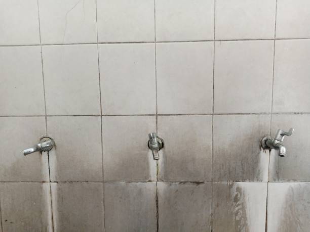 Best Water damage cleanup near me  in , MO