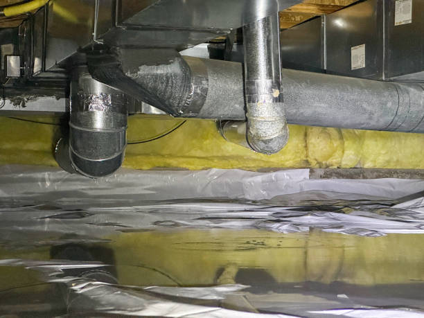 Best Flood restoration services  in , MO