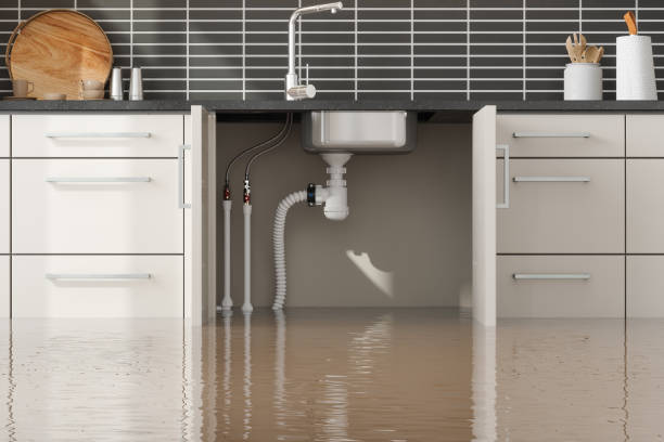 Best Sewage cleanup and water damage restoration  in , MO