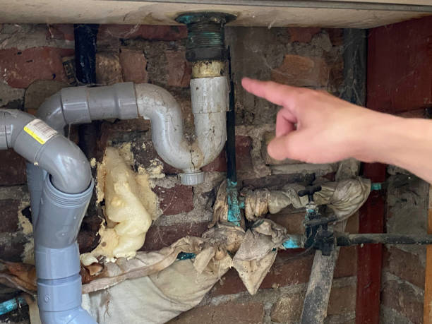 Best Flood damage cleanup  in , MO