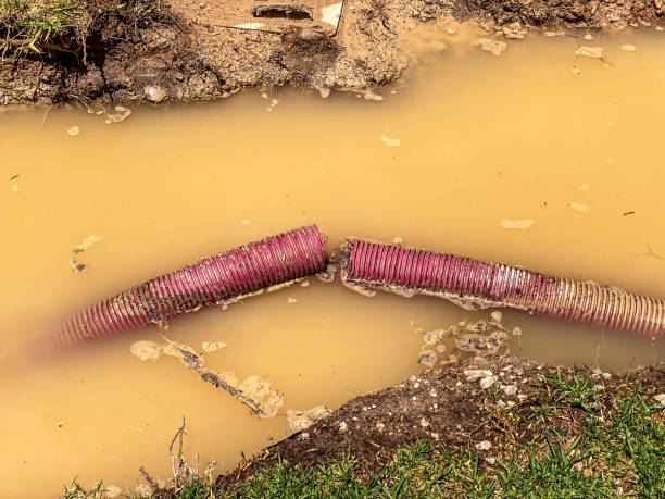 Best Commercial water damage restoration  in , MO
